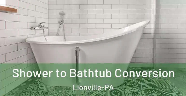 inner Bathroom imggen Shower to Bathtub Conversion Lionville-PA
