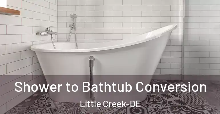 inner Bathroom imggen Shower to Bathtub Conversion Little Creek-DE