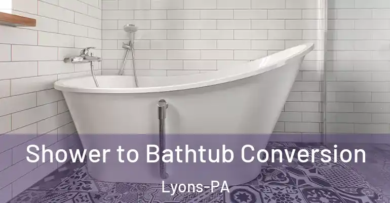 inner Bathroom imggen Shower to Bathtub Conversion Lyons-PA