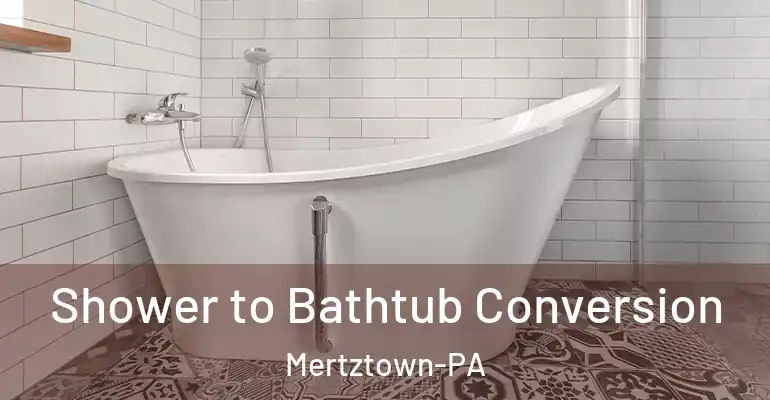 inner Bathroom imggen Shower to Bathtub Conversion Mertztown-PA