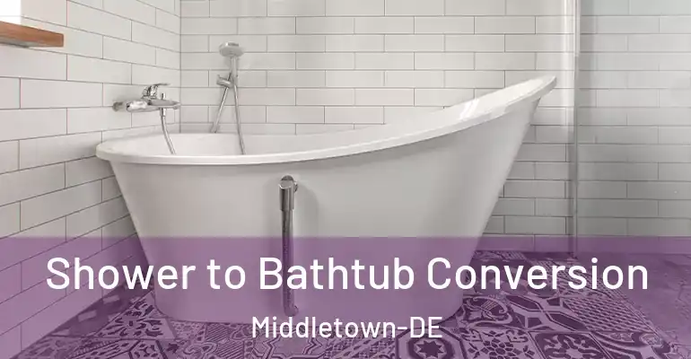 inner Bathroom imggen Shower to Bathtub Conversion Middletown-DE