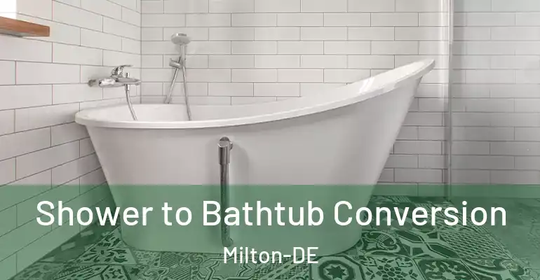 inner Bathroom imggen Shower to Bathtub Conversion Milton-DE