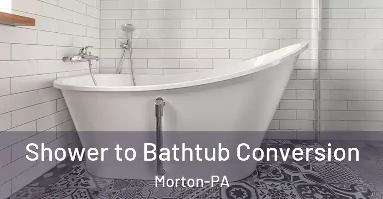 inner Bathroom imggen Shower to Bathtub Conversion Morton-PA