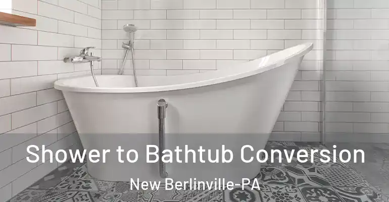inner Bathroom imggen Shower to Bathtub Conversion New Berlinville-PA