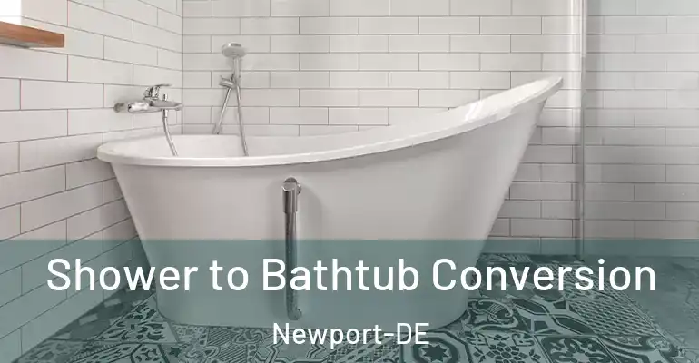 inner Bathroom imggen Shower to Bathtub Conversion Newport-DE