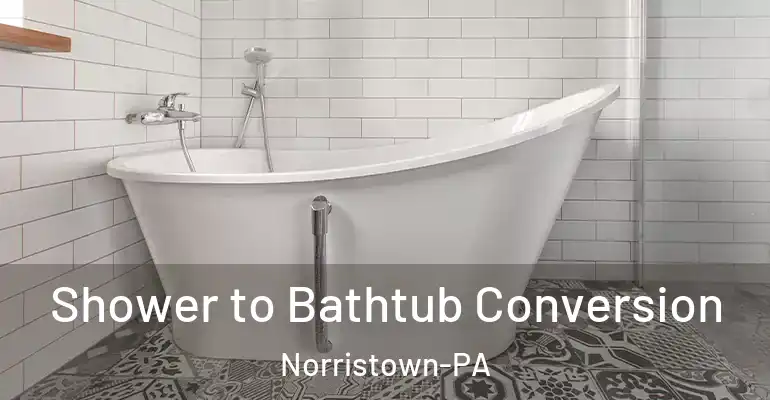 inner Bathroom imggen Shower to Bathtub Conversion Norristown-PA