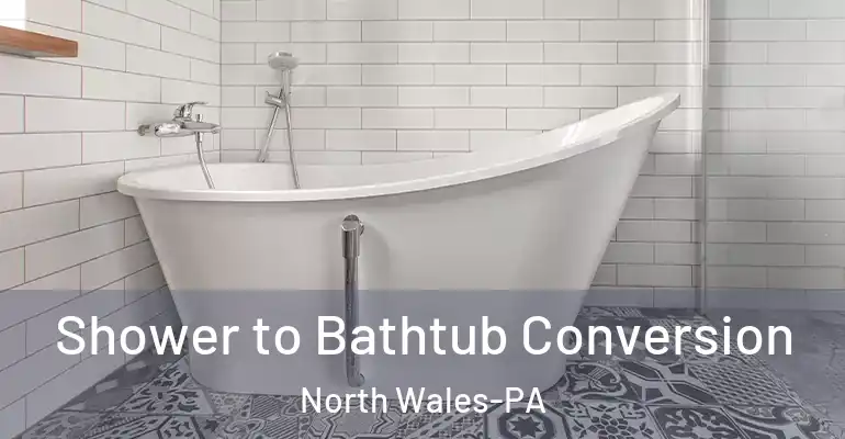 inner Bathroom imggen Shower to Bathtub Conversion North Wales-PA