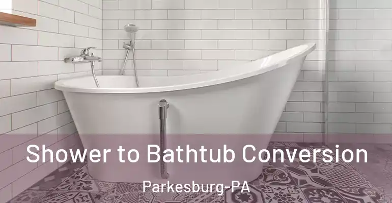inner Bathroom imggen Shower to Bathtub Conversion Parkesburg-PA