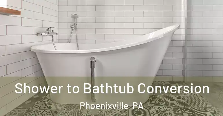 inner Bathroom imggen Shower to Bathtub Conversion Phoenixville-PA