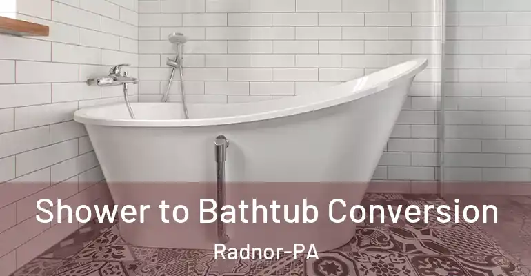 inner Bathroom imggen Shower to Bathtub Conversion Radnor-PA