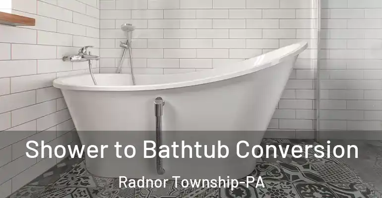 inner Bathroom imggen Shower to Bathtub Conversion Radnor Township-PA