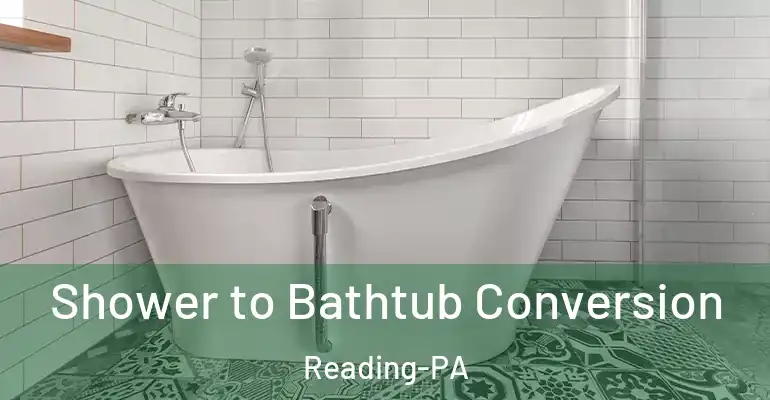 inner Bathroom imggen Shower to Bathtub Conversion Reading-PA