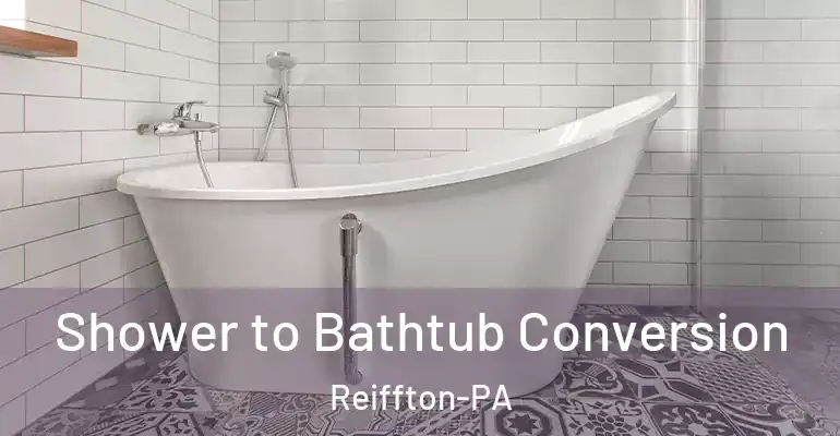 inner Bathroom imggen Shower to Bathtub Conversion Reiffton-PA