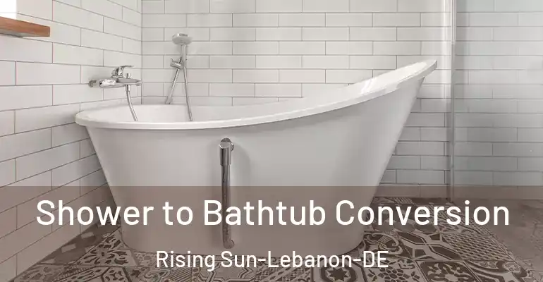 inner Bathroom imggen Shower to Bathtub Conversion Rising Sun-Lebanon-DE
