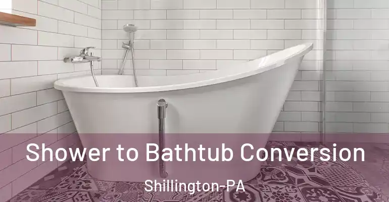 inner Bathroom imggen Shower to Bathtub Conversion Shillington-PA