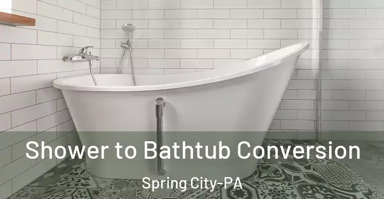 inner Bathroom imggen Shower to Bathtub Conversion Spring City-PA