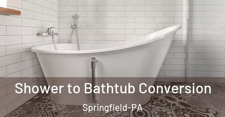 inner Bathroom imggen Shower to Bathtub Conversion Springfield-PA