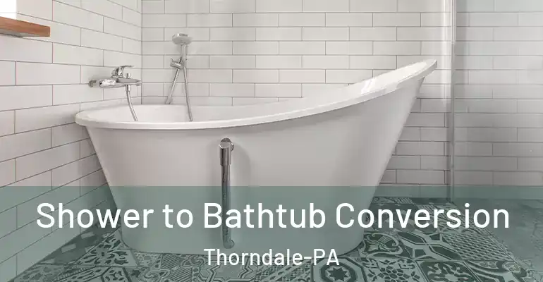 inner Bathroom imggen Shower to Bathtub Conversion Thorndale-PA