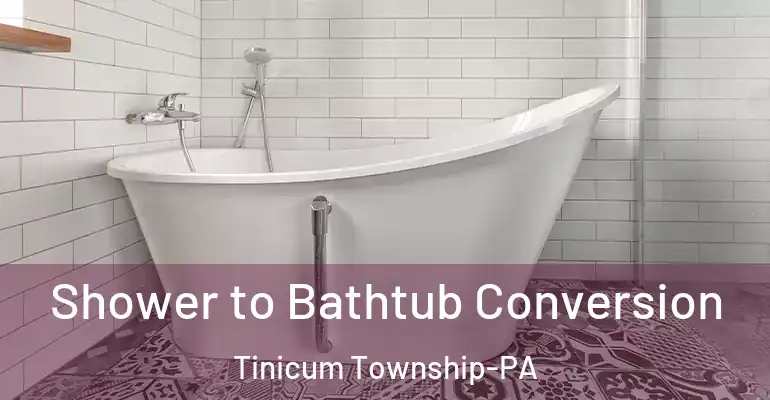 inner Bathroom imggen Shower to Bathtub Conversion Tinicum Township-PA