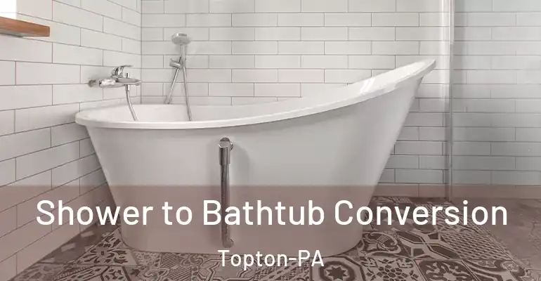 inner Bathroom imggen Shower to Bathtub Conversion Topton-PA