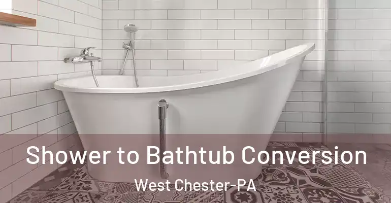inner Bathroom imggen Shower to Bathtub Conversion West Chester-PA