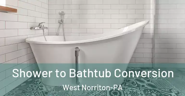 inner Bathroom imggen Shower to Bathtub Conversion West Norriton-PA
