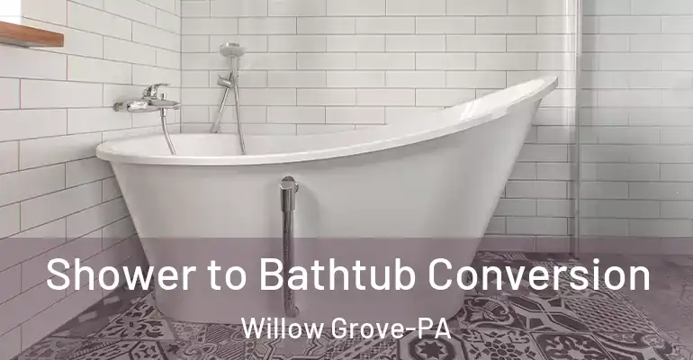 inner Bathroom imggen Shower to Bathtub Conversion Willow Grove-PA