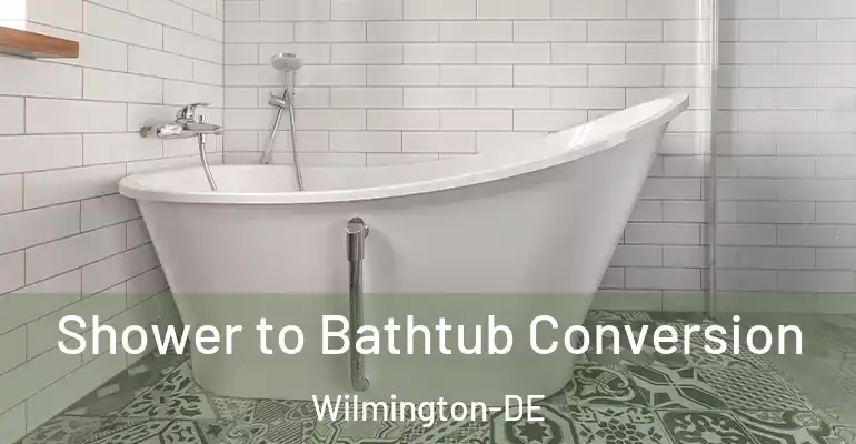 inner Bathroom imggen Shower to Bathtub Conversion Wilmington-DE