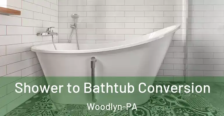 inner Bathroom imggen Shower to Bathtub Conversion Woodlyn-PA