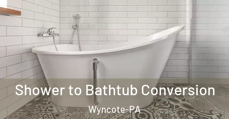 inner Bathroom imggen Shower to Bathtub Conversion Wyncote-PA