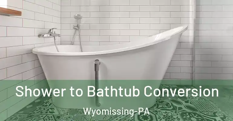 inner Bathroom imggen Shower to Bathtub Conversion Wyomissing-PA