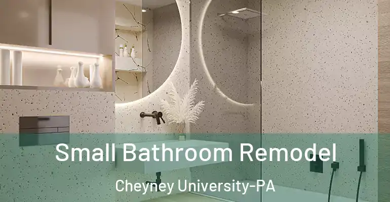 inner Bathroom imggen Small Bathroom Remodel Cheyney University-PA