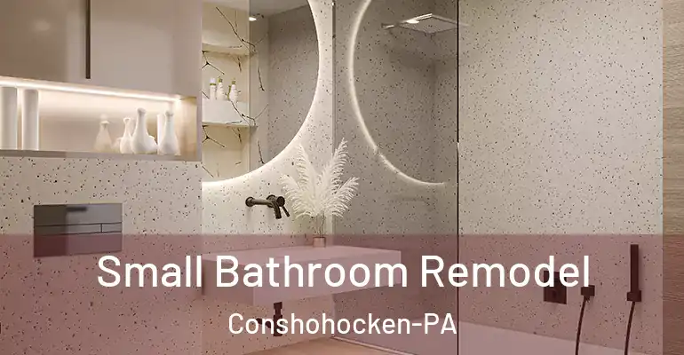 inner Bathroom imggen Small Bathroom Remodel Conshohocken-PA