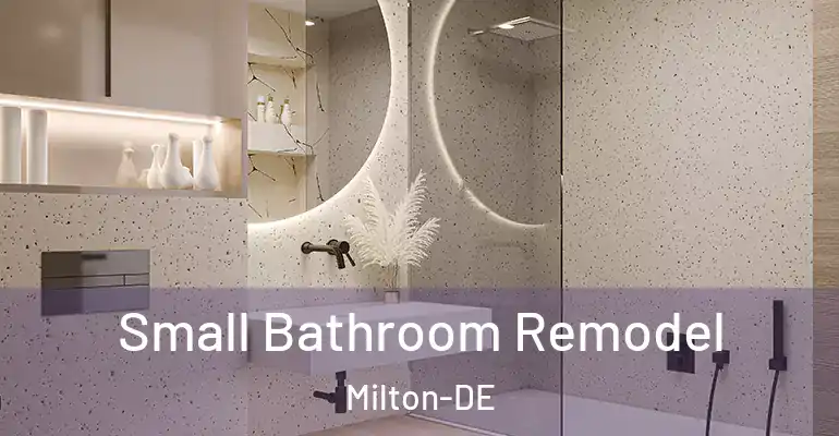 inner Bathroom imggen Small Bathroom Remodel Milton-DE