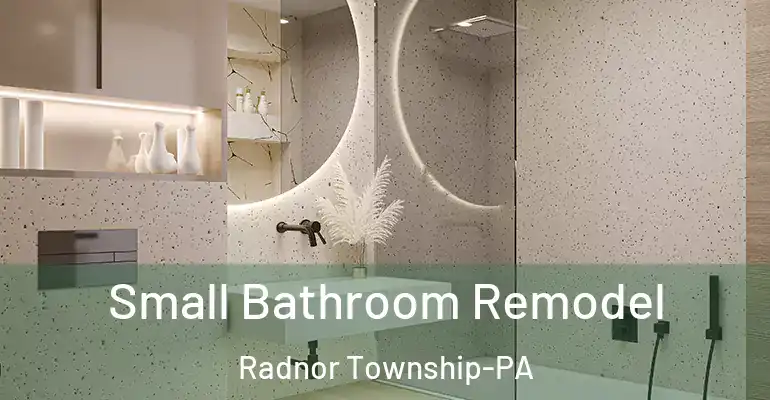 inner Bathroom imggen Small Bathroom Remodel Radnor Township-PA