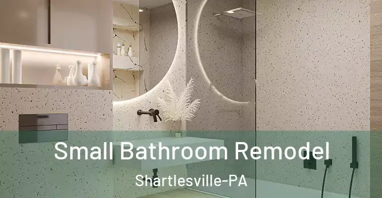 inner Bathroom imggen Small Bathroom Remodel Shartlesville-PA