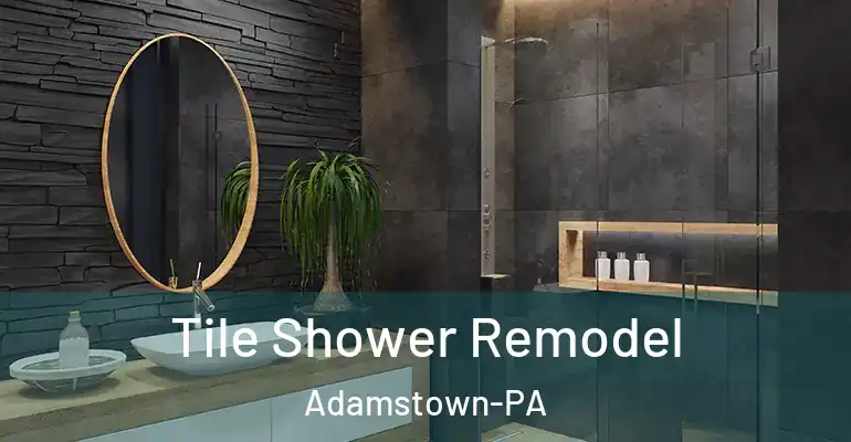 inner Bathroom imggen Tile Shower Remodel Adamstown-PA