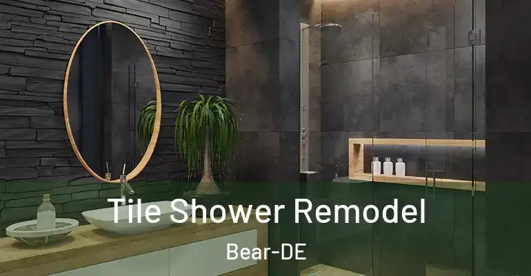 inner Bathroom imggen Tile Shower Remodel Bear-DE