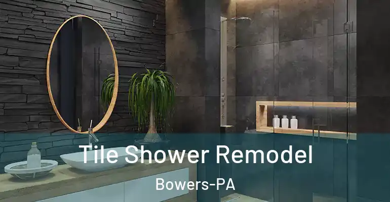 inner Bathroom imggen Tile Shower Remodel Bowers-PA