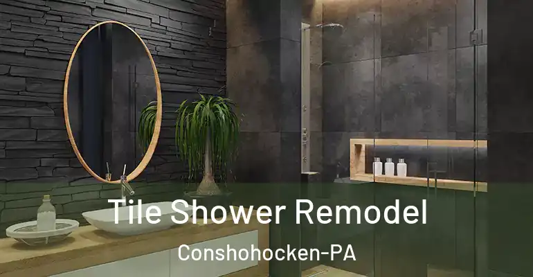 inner Bathroom imggen Tile Shower Remodel Conshohocken-PA
