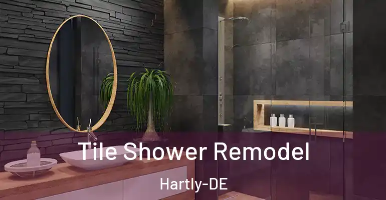 inner Bathroom imggen Tile Shower Remodel Hartly-DE