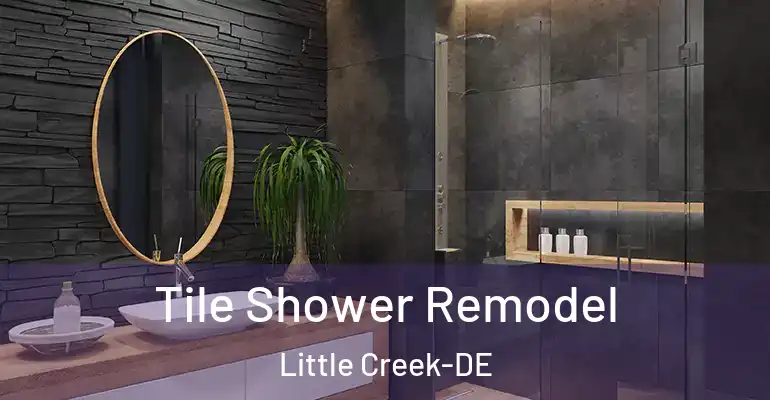 inner Bathroom imggen Tile Shower Remodel Little Creek-DE