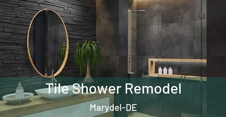 inner Bathroom imggen Tile Shower Remodel Marydel-DE