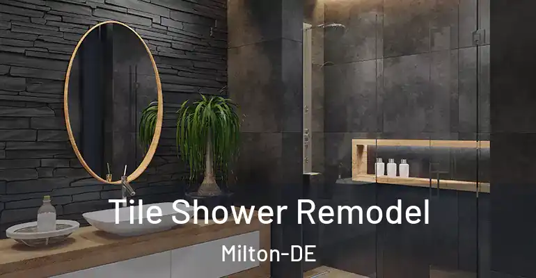 inner Bathroom imggen Tile Shower Remodel Milton-DE