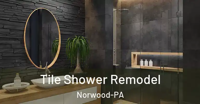 inner Bathroom imggen Tile Shower Remodel Norwood-PA