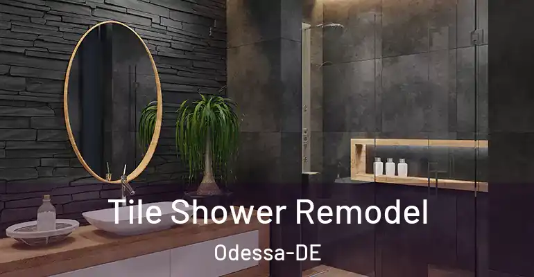 inner Bathroom imggen Tile Shower Remodel Odessa-DE