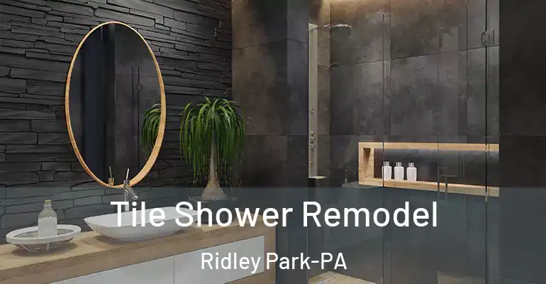 inner Bathroom imggen Tile Shower Remodel Ridley Park-PA