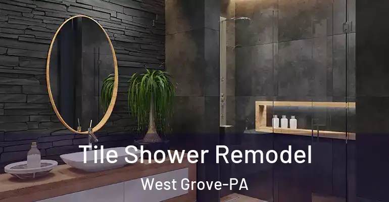 inner Bathroom imggen Tile Shower Remodel West Grove-PA