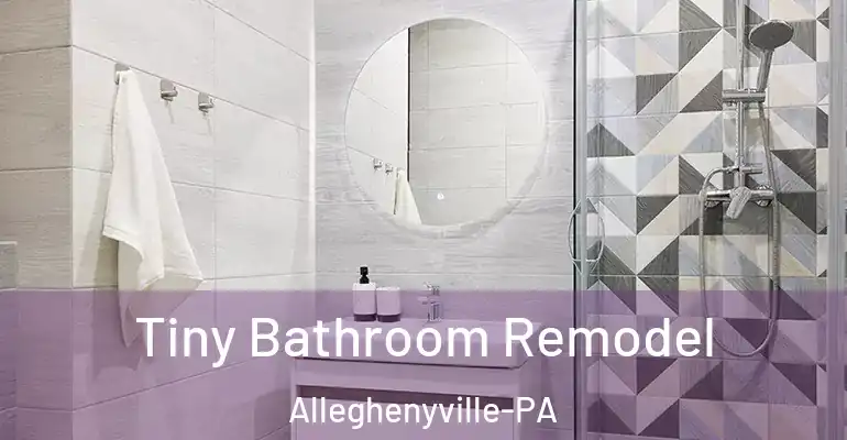 inner Bathroom imggen Tiny Bathroom Remodel Alleghenyville-PA