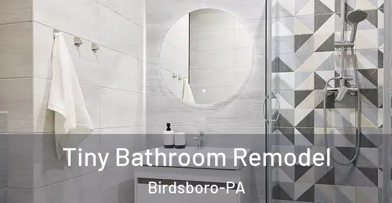 inner Bathroom imggen Tiny Bathroom Remodel Birdsboro-PA